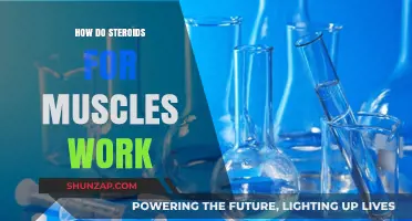 Unveiling the Science: How Steroids Build Muscle Mass Effectively