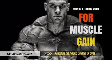 How Steroids Boost Muscle Growth: Mechanisms and Effects Explained