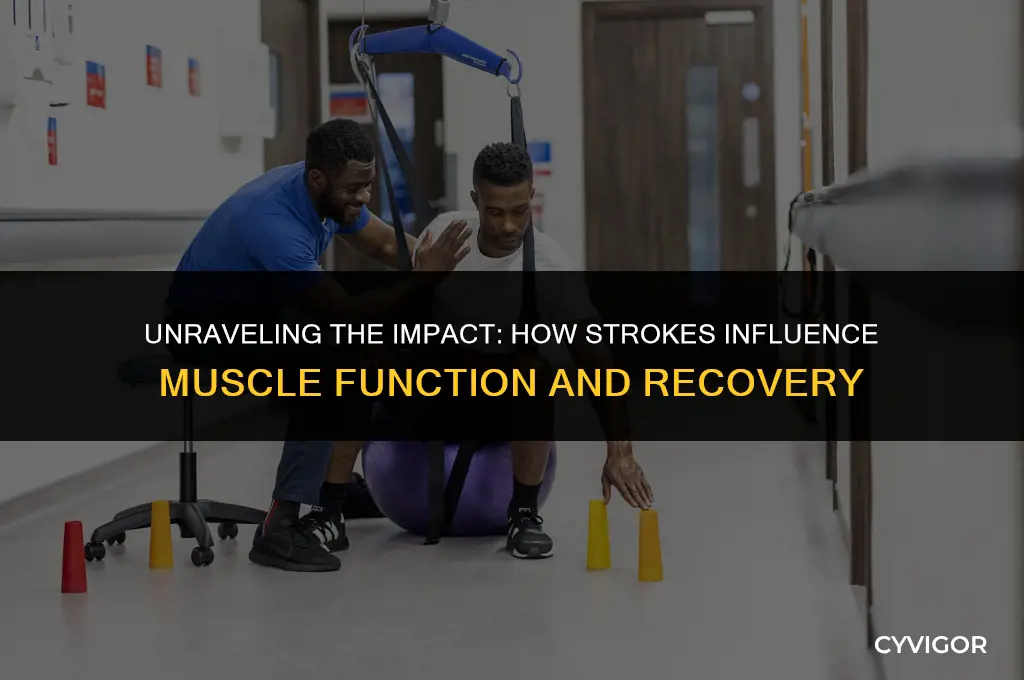 how do strokes affect muscle