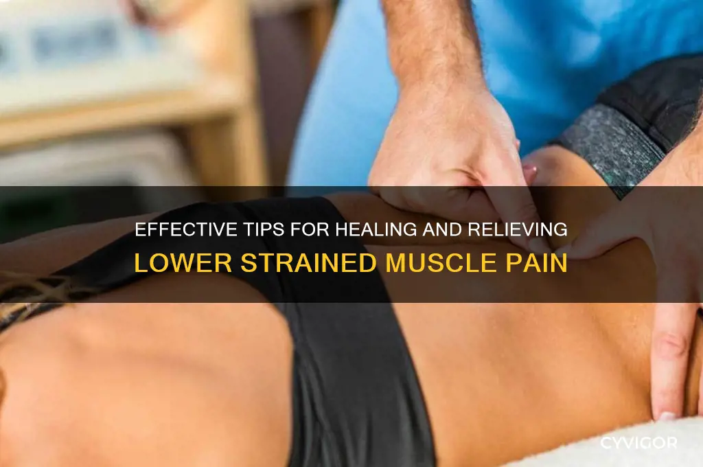 how do take care of a lower strained painful muscle