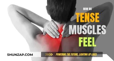 Understanding the Sensations of Tense Muscles