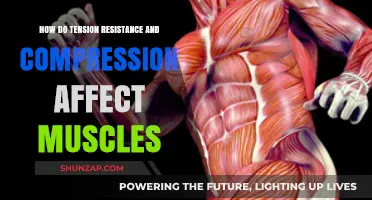 Understanding Muscle Mechanics: Tension, Resistance, and Compression
