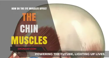The Intricate Connection: How Eye Muscles Influence Chin Muscles