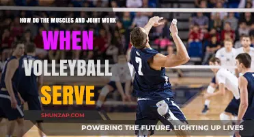 Volleyball Serve Mechanics: Muscles and Joints in Action Explained