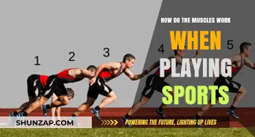 Muscle Mechanics: How Your Body Powers Performance in Sports