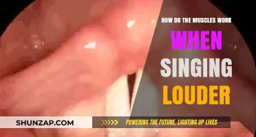 Understanding Muscular Mechanics for Powerful and Controlled Vocal Projection