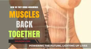 Revitalizing Core Strength: The Journey to Reunite Abdominal Muscles