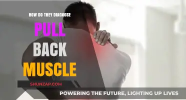 Diagnosing Pulled Back Muscles: Symptoms, Tests, and Treatment Options