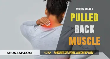 Effective Ways to Treat a Pulled Back Muscle and Relieve Pain