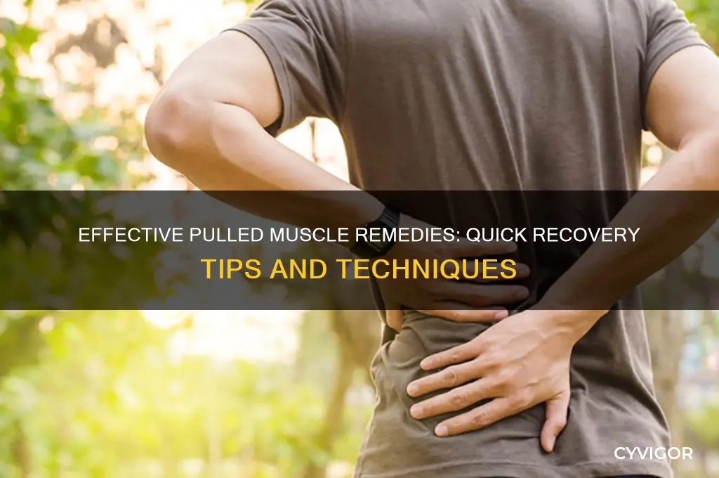 how do u cure a pulled muscle