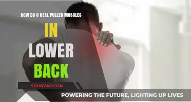Effective Ways to Heal Pulled Lower Back Muscles Fast and Safely