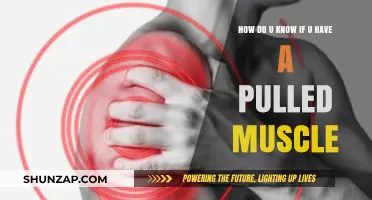 Pulled Muscle Symptoms: Identifying Pain, Swelling, and Limited Mobility