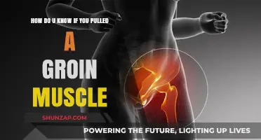 Recognizing Groin Strain Symptoms: How to Identify a Pulled Muscle