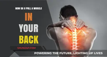 Understanding Back Muscle Strains: Causes, Prevention, and Recovery Tips