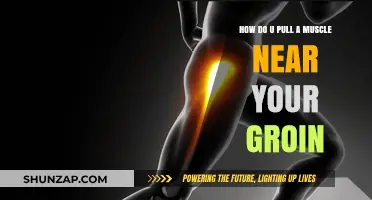 Understanding Groin Muscle Strains: Causes, Symptoms, and Prevention Tips
