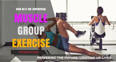 Mastering Superficial Muscle Group Exercises: Effective Techniques for Strength and Tone