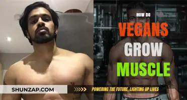 Plant-Based Muscle Building: Strategies for Vegan Strength and Growth