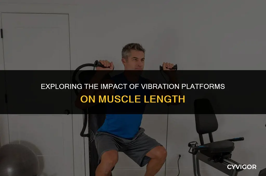 how do vibration platforms affect muscle length