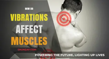 The Impact of Vibrations on Muscle Health and Performance