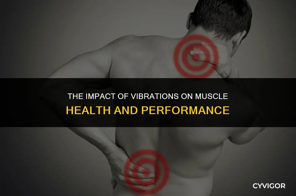 how do vibrations affect muscles