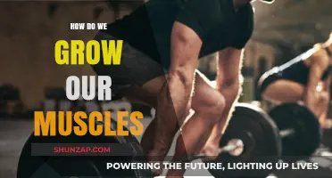 Effective Strategies to Build and Strengthen Muscles Naturally