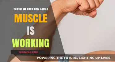Measuring Muscle Effort: Understanding Intensity and Workload in Fitness