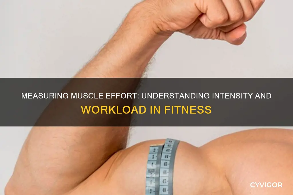 how do we know how hard a muscle is working