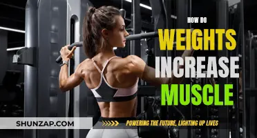 Lifting Weights: Building Muscle Through Progressive Overload