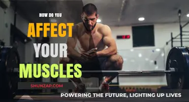 Sculpting Strength: The Science of Muscle Growth and Development