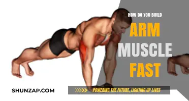 Sculpting Strong Arms: A Comprehensive Guide to Rapid Muscle Growth