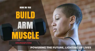 Sculpting Strength: A Guide to Building Powerful Arm Muscles