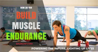 Unlocking Strength: A Guide to Building Muscle Endurance