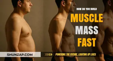 Rapid Muscle Growth: Strategies for Building Mass Quickly