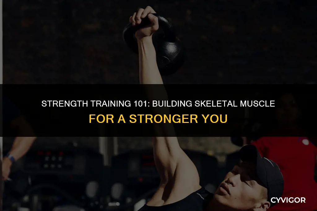how do you build skeletal muscle