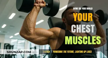 Sculpting Strength: A Guide to Building Powerful Chest Muscles