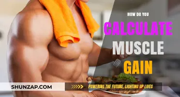 Mastering Muscle Gain: Calculation Methods for Optimal Growth