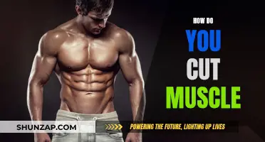 Cutting Muscle: Techniques for a Defined Physique