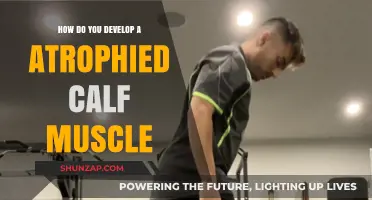 Revitalizing Your Calves: A Guide to Developing Atrophied Calf Muscles