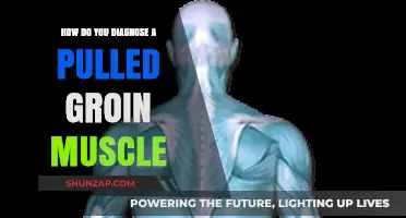 Diagnosing a Pulled Groin Muscle: Symptoms, Tests, and Recovery Tips
