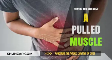 Diagnosing a Pulled Muscle: Symptoms, Causes, and Treatment Options