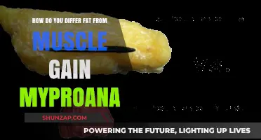 Differentiating Fat vs. Muscle Gain: Insights and Tips for Healthy Progress