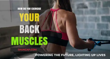 Strengthen Your Back: Effective Exercises for a Stronger Spine