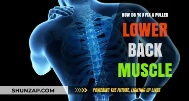 Effective Remedies to Heal and Prevent Pulled Lower Back Muscle Pain