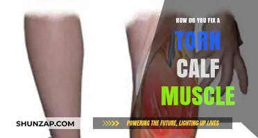 Effective Ways to Heal a Torn Calf Muscle: A Comprehensive Guide