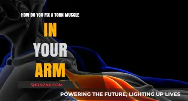 Effective Ways to Heal and Recover from a Torn Arm Muscle