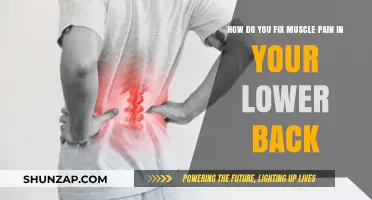 Effective Remedies to Relieve and Prevent Lower Back Muscle Pain