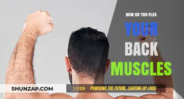 Strengthening Your Back: A Guide to Effective Muscle Flexing