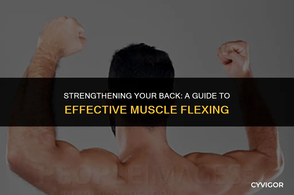 how do you flex your back muscles