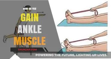 Strengthen Your Ankles: Effective Exercises to Build Muscle and Stability