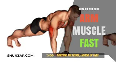 Effective Arm Muscle Building: Fast Strategies for Quick Strength Gains